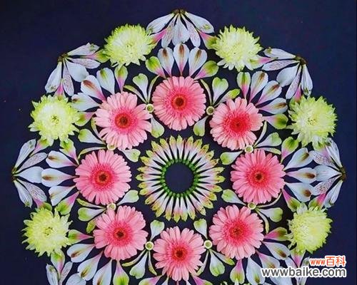 美丽的曼陀罗花所传递的情感和寓意 探秘粉色曼陀罗的花语