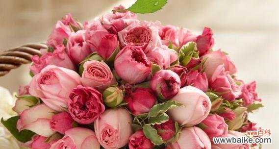 33朵粉色玫瑰花传递的浪漫和爱情 33朵粉色玫瑰花的象征意义