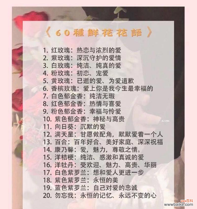 33朵红玫瑰的花语是什么？它在表达心愿时有何特殊含义？
