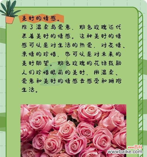 隐忍的花语代表了哪种情感？