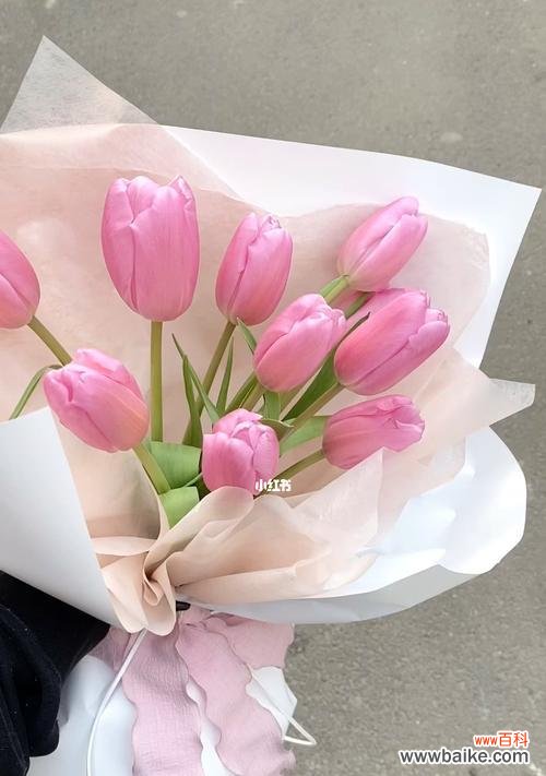 探寻粉色郁金香所传递的浪漫与美好 粉色郁金香的花语