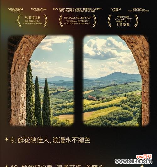 美人鲜花的花语是什么?美人鲜花象征着什么?