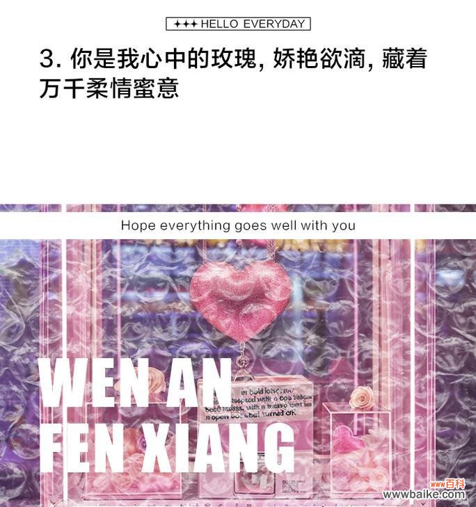 哪种玫瑰花语最能温暖人心？