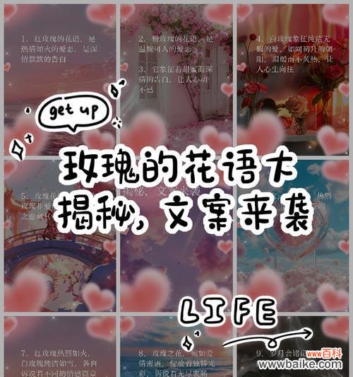 哪种玫瑰花语最能温暖人心？