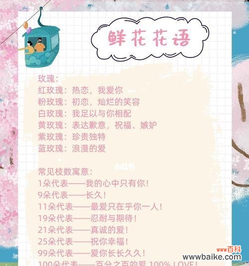 花语通常表达什么？如何选择合适的花语？