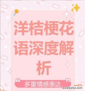 不同礼物的花语分别是什么？