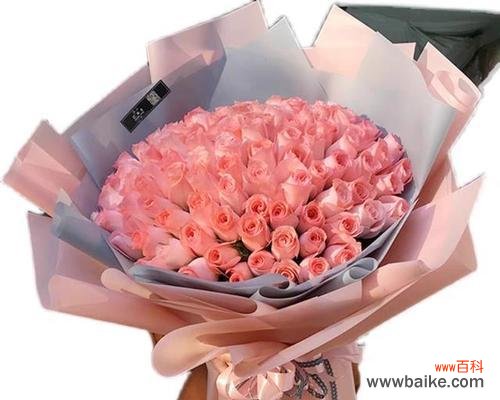 玫瑰花代表的谜语是什么？有何寓意？