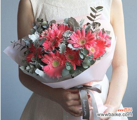 扶郎花语的浪漫寓意 扶郎花语