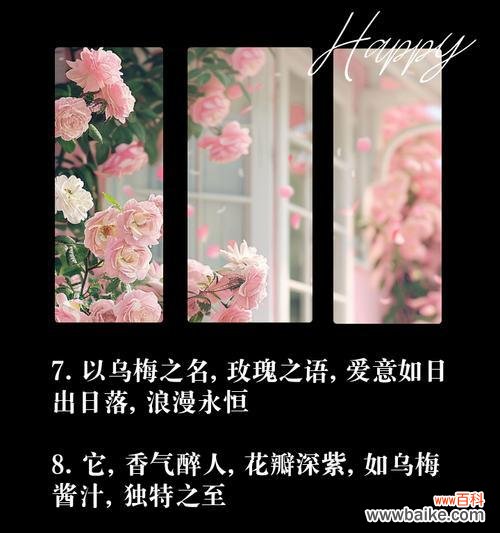 乌梅子酱和玫瑰花搭配代表什么？这种搭配有何特殊含义？