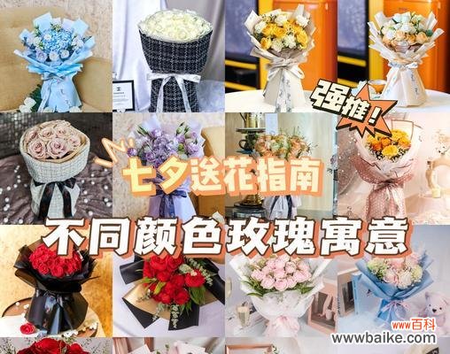 小玫瑰的花语和寓意有何不同？小玫瑰代表什么？