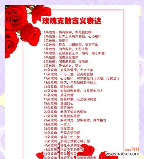 小玫瑰的花语和寓意有何不同？小玫瑰代表什么？