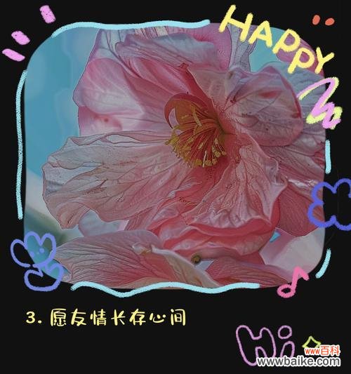 从友情到爱情的花语是什么？友情转为爱情的花语有哪些？