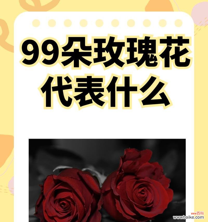 真诚努力的花语有哪些?如何通过花语表达真诚与努力?