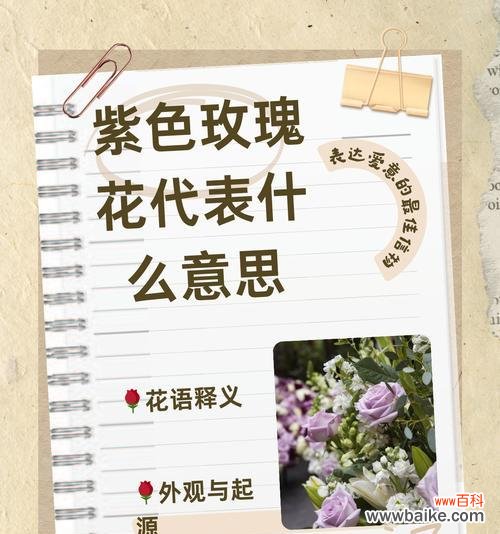 哪种花代表了好男人的品质？