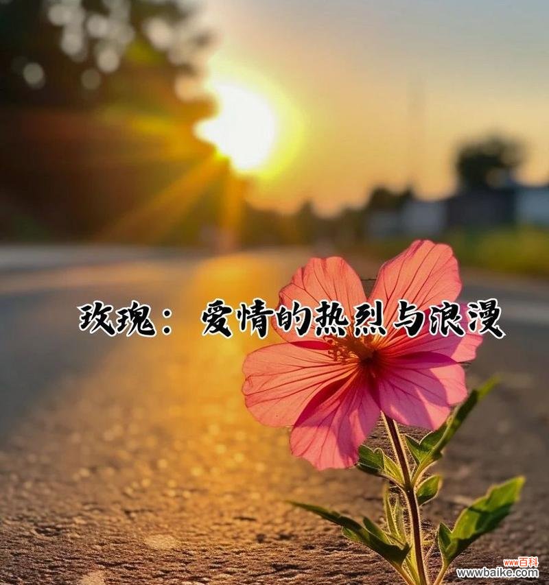 希望爱情的花语是什么?哪种花代表希望?
