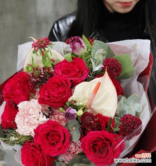 红色大彩球花语是什么？红色大彩球代表什么？