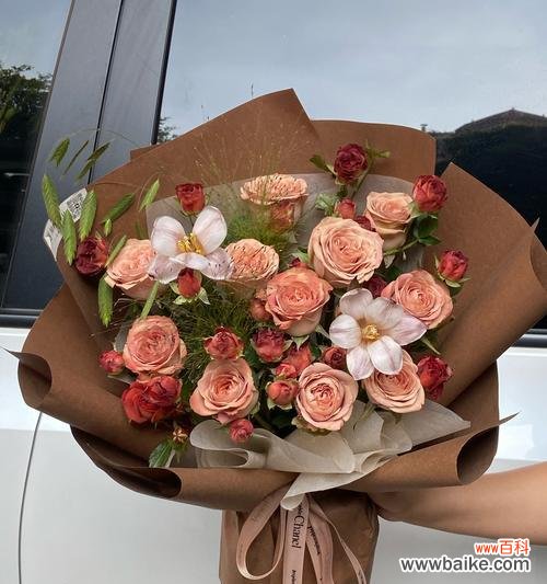 卡布花语的寓意有哪些？