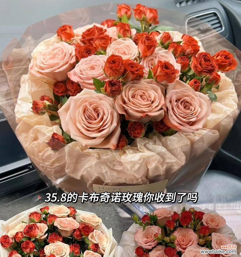 卡布花语的寓意有哪些？