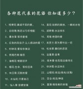 哪种花的花语最具有个性？