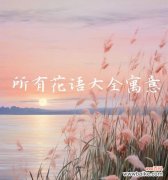 哪种花象征着男生？花语中透露了怎样的情感？