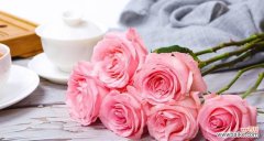 订婚时应该选择哪种花语表达爱意？