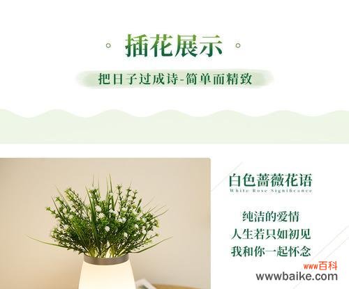 玫瑰花瓶的寓意和花语有何不同？