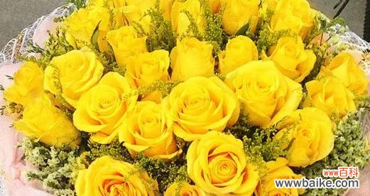 揭秘每朵玫瑰的独特语言 26朵玫瑰花语的意义与传承