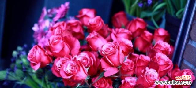 玫瑰花语的浪漫与深情 玫瑰花语之18朵玫瑰的含义解析