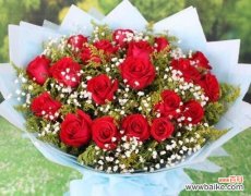 爱情的深情告白——24朵玫瑰花语的浪漫表达 24朵玫瑰花语的意义与传达方式