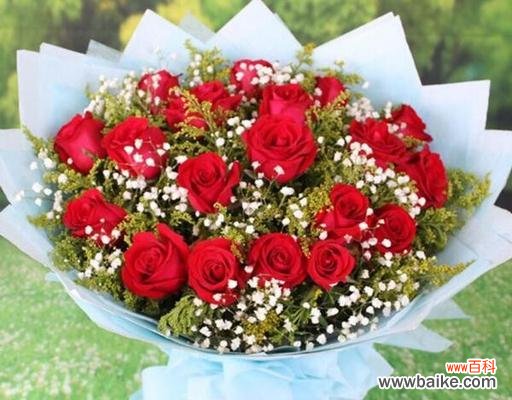 爱情的深情告白——24朵玫瑰花语的浪漫表达 24朵玫瑰花语的意义与传达方式