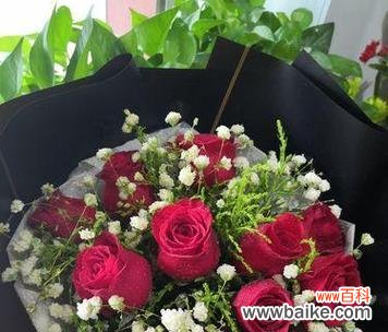 用26朵玫瑰传递的情感与寓意 浪漫花语之玫瑰的意义