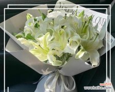 皇冠百合的花语含义是什么？它象征着什么？