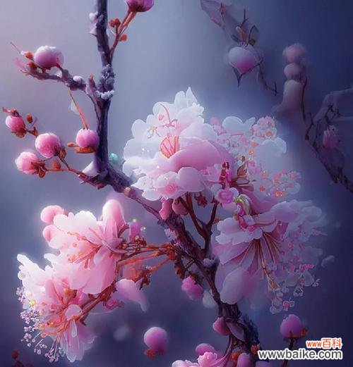 梅花的形状颜色有何象征意义？梅花的花语是什么？