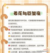 姜花代表了哪些情感？