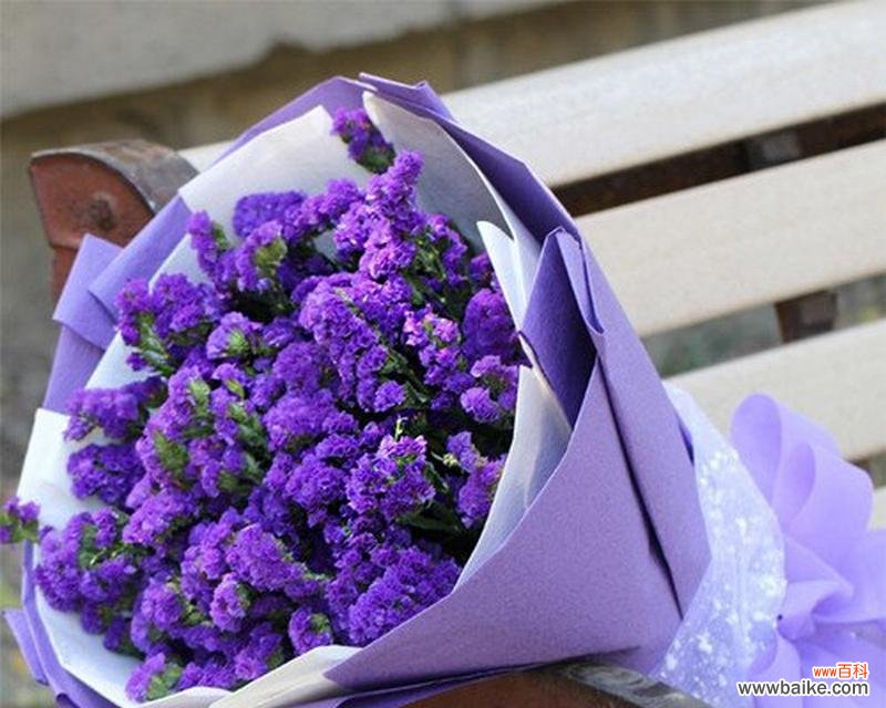 四朵花语分别对应哪些花名？它们各自代表了什么？