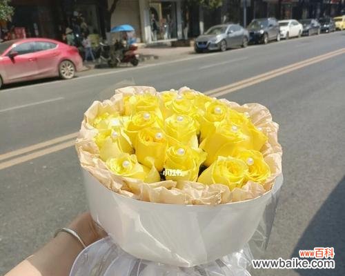 哪种花语代表道歉？