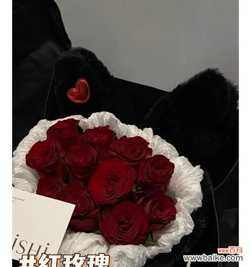 哪种花语代表道歉？