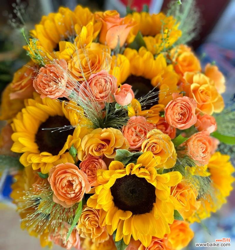 调侃别人时用的花语是什么?它传达了什么信息?