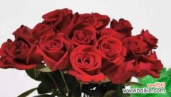 解读39朵玫瑰花所传递的情感和寓意 39朵玫瑰花花语的深意