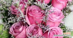爱情之花的真正意义与传递 42朵玫瑰花的花语解析