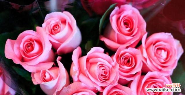 传递浓浓爱意的花束 62朵玫瑰的花语及其意义