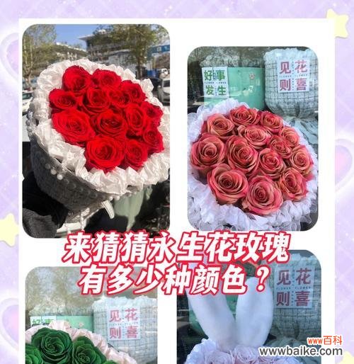 鲜花销售中常见的花语有哪些？