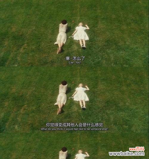 救赎自己的花语代表什么？