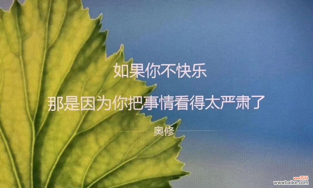 救赎自己的花语代表什么？