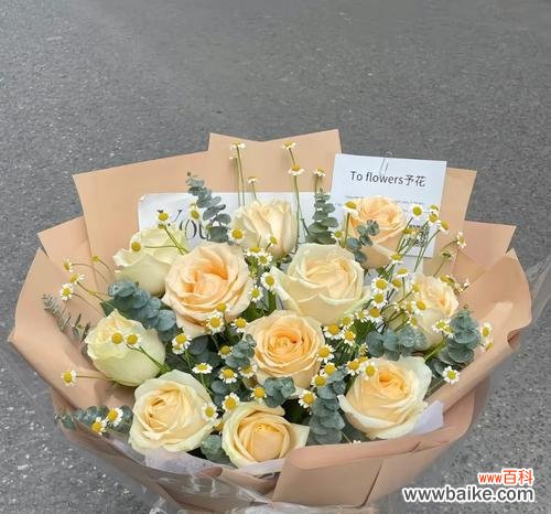 香槟玫瑰3朵代表什么？花语寓意有何不同？