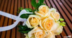 香槟玫瑰3朵代表什么？花语寓意有何不同？