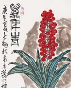 万年青的花语有何含义？它象征着什么？