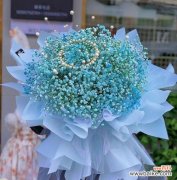 满天洪水花语代表什么？