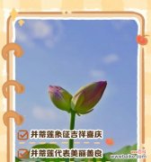 吉祥花语物品有哪些？花语中代表吉祥的是什么？