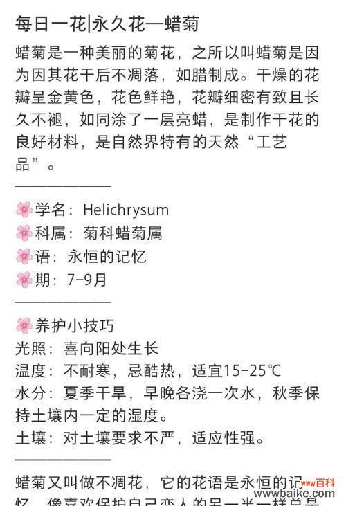 王源的花语代表了什么？